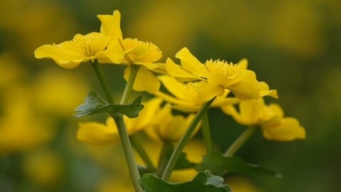 07 2026 Afbeelding